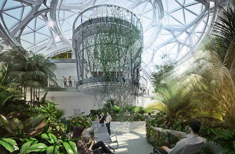 Glass structures filled with greenery and bright light used as a workspace