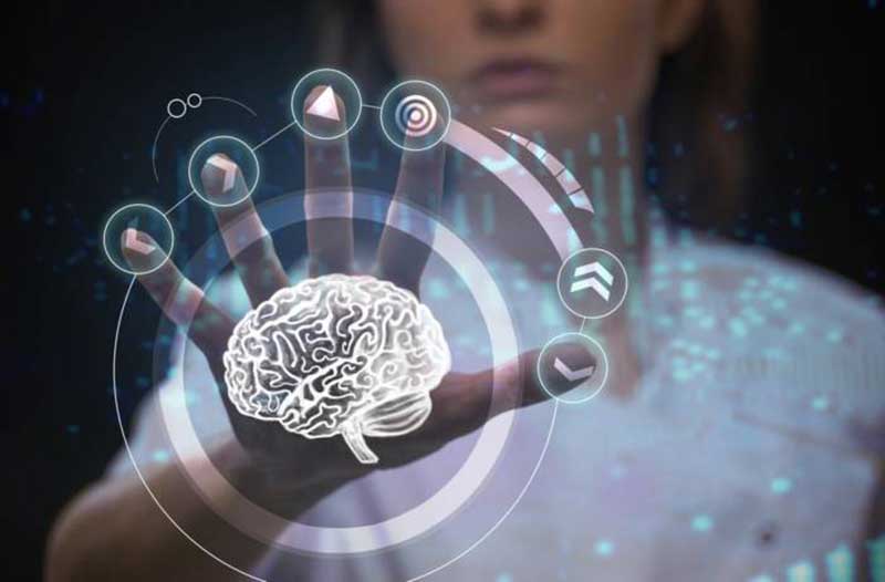 Woman touches digital screen with image of brain