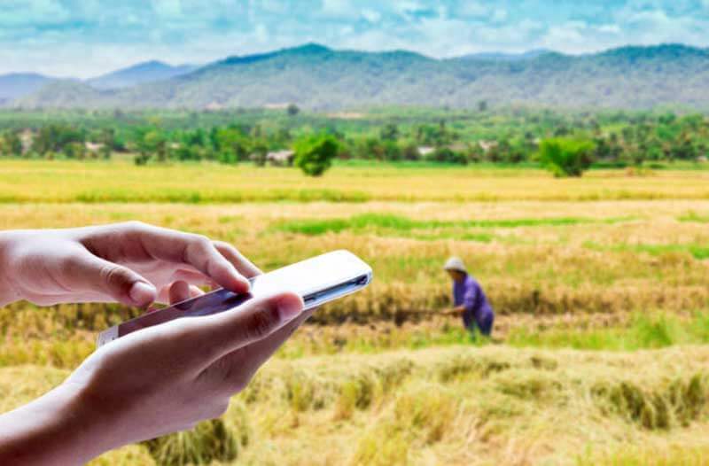 Two hands holding a smartphone with a farmer in a wheat field in the background