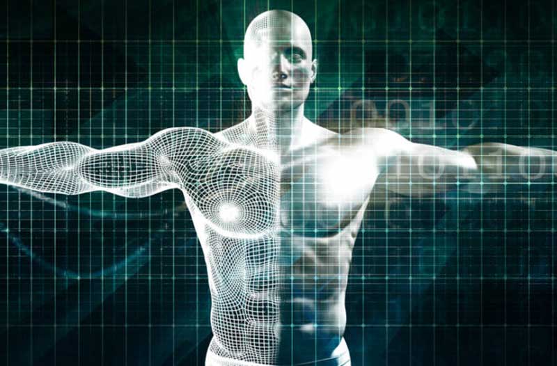 A digital model of a man’s torso