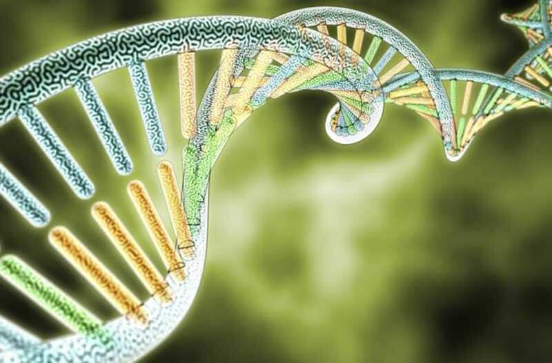 Virtual DNA strand with a green background