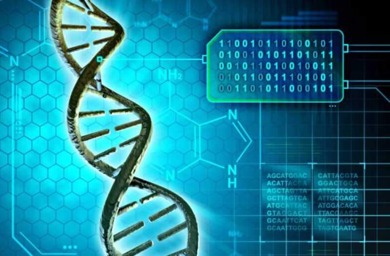 DNA strand with chemical equations in the background and binary codes on the right