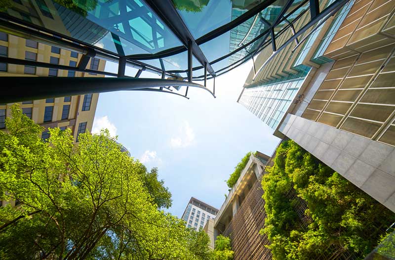 High-rise buildings and green trees against a blue sky, photographed from below