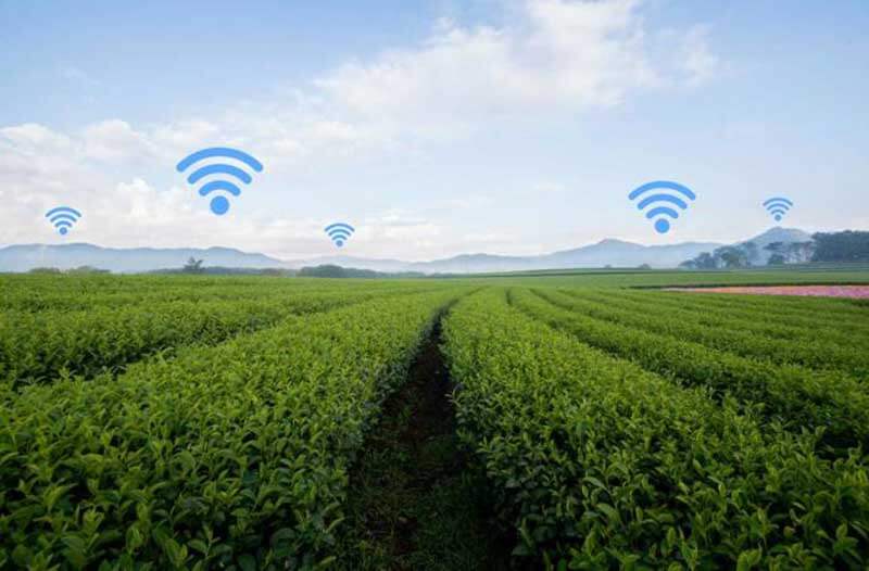 Green field with blue sky and wifi-icons