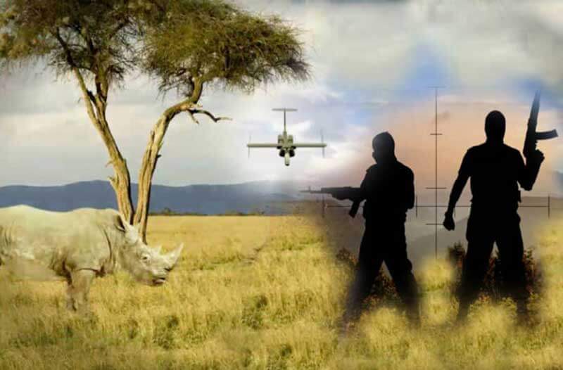 Wilderness landscape showing a rhino, two poacher silhouettes holding guns and a drone flying in the distance