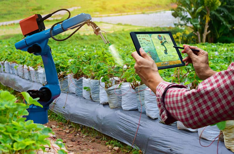 A person’s hands holding a tablet and controlling a robotic arm that’s spraying plants.